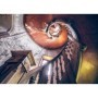 Puzzle Scara In Spirala, 1000 Piese Ravensburger - 1
